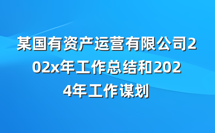 某国有资产运营有限公司202x年工作总结和2024年工作谋划