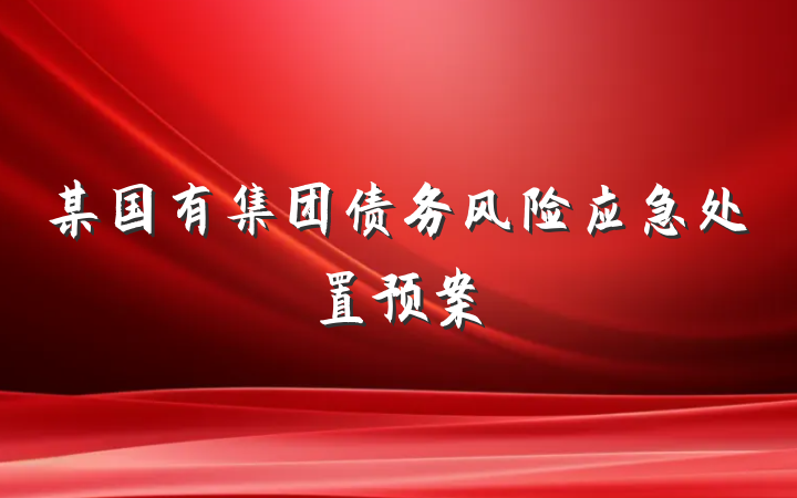 某国有集团债务风险应急处置预案