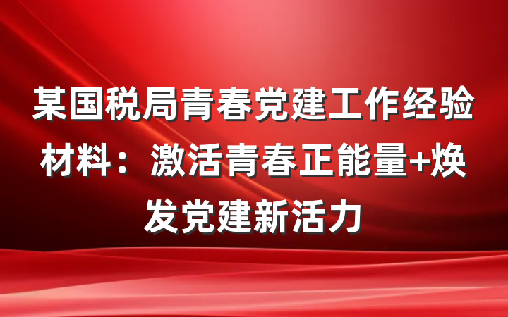 某国税局青春党建工作经验材料：激活青春正能量 焕发党建新活力
