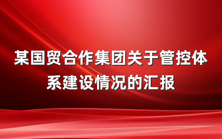 某国贸合作集团关于管控体系建设情况的汇报
