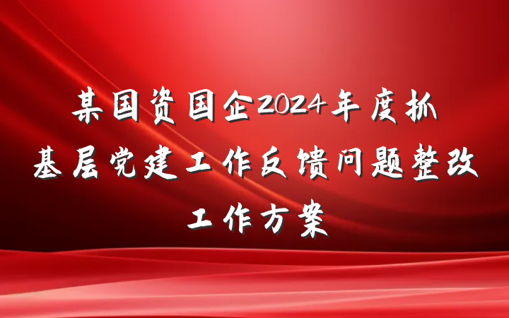 某国资国企2024年度抓基层党建工作反馈问题整改工作方案