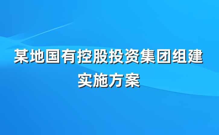 某地国有控股投资集团组建实施方案
