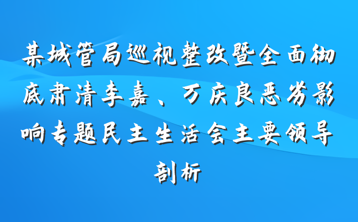 某城管局巡视整改暨全面彻底肃清李嘉、万庆良恶劣影响专题民主生活会主要领导剖析