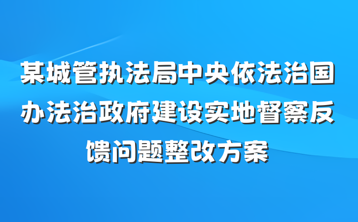 某城管执法局中央依法治国办法治政府建设实地督察反馈问题整改方案
