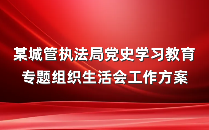 某城管执法局党史学习教育专题组织生活会工作方案