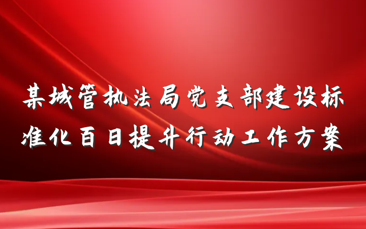 某城管执法局党支部建设标准化百日提升行动工作方案
