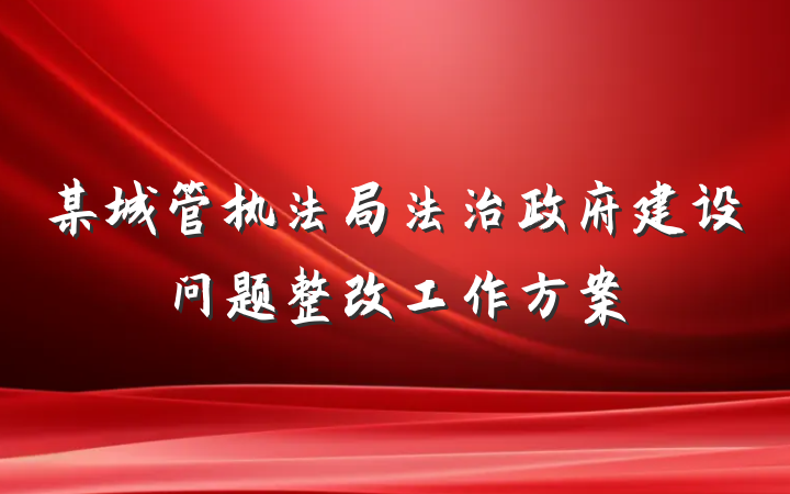 某城管执法局法治政府建设问题整改工作方案