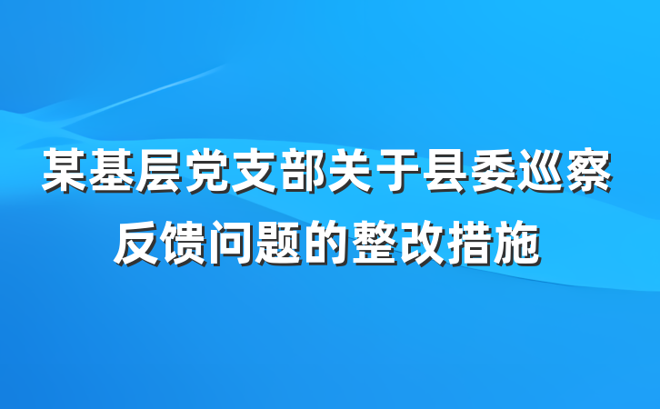 某基层党支部关于县委巡察反馈问题的整改措施