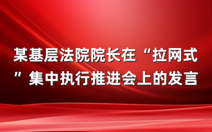 某基层法院院长在“拉网式”集中执行推进会上的发言