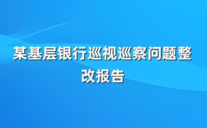 某基层银行巡视巡察问题整改报告