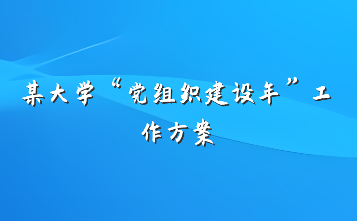 某大学“党组织建设年”工作方案