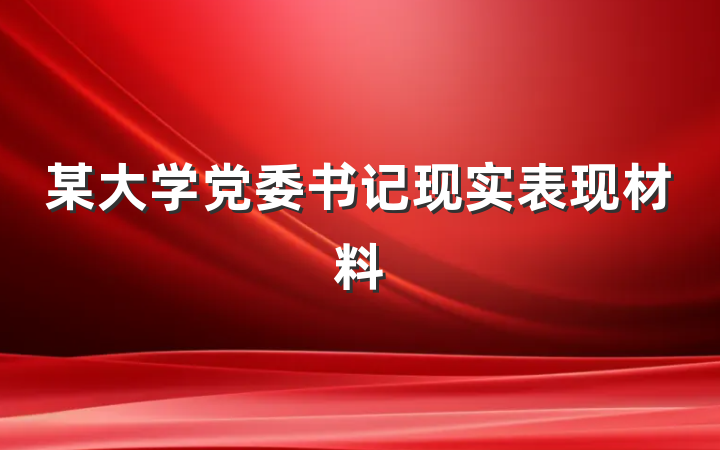 某大学党委书记现实表现材料