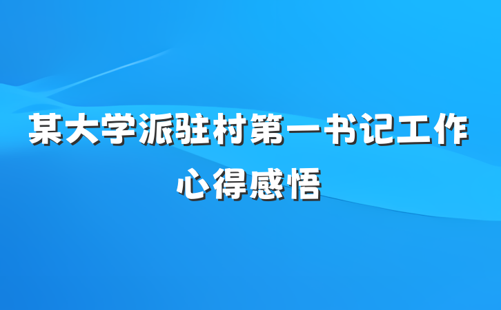 某大学派驻村第一书记工作心得感悟