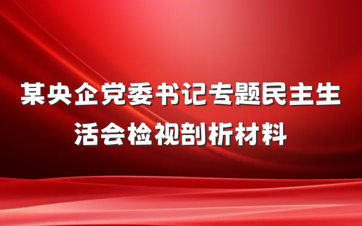某央企党委书记专题民主生活会检视剖析材料