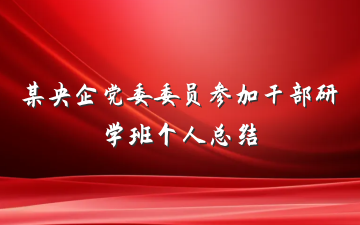 某央企党委委员参加干部研学班个人总结
