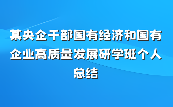 某央企干部国有经济和国有企业高质量发展研学班个人总结