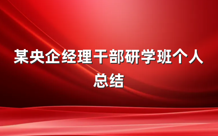 某央企经理干部研学班个人总结