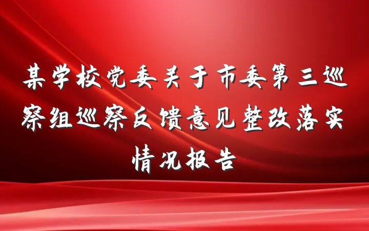 某学校党委关于市委第三巡察组巡察反馈意见整改落实情况报告