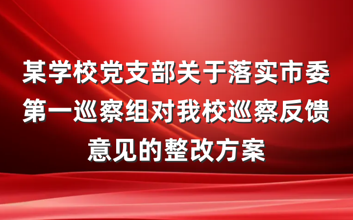 某学校党支部关于落实市委第一巡察组对我校巡察反馈意见的整改方案