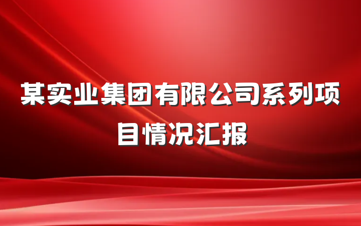 某实业集团有限公司系列项目情况汇报