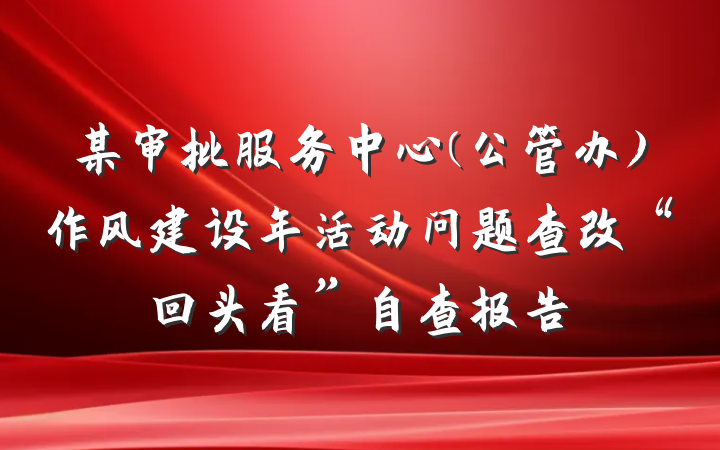 某审批服务中心(公管办)作风建设年活动问题查改“回头看”自查报告