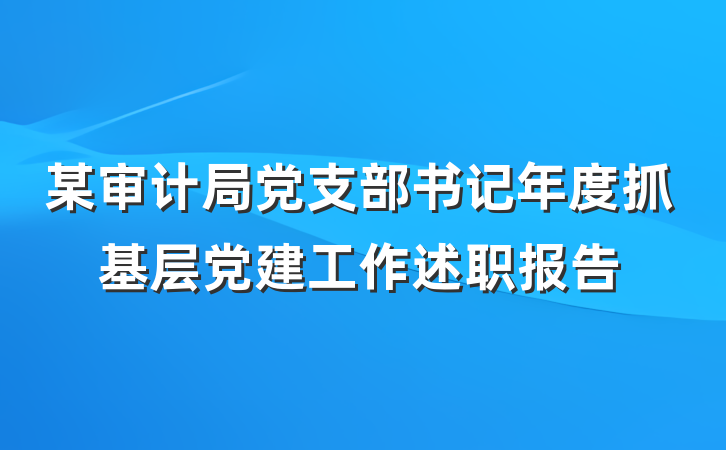 某审计局党支部书记年度抓基层党建工作述职报告