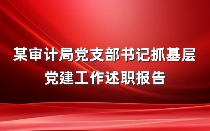 某审计局党支部书记抓基层党建工作述职报告