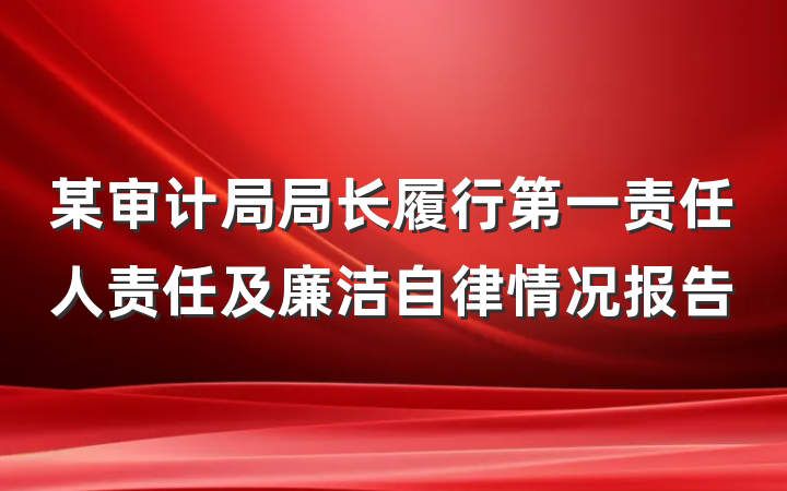 某审计局局长履行第一责任人责任及廉洁自律情况报告
