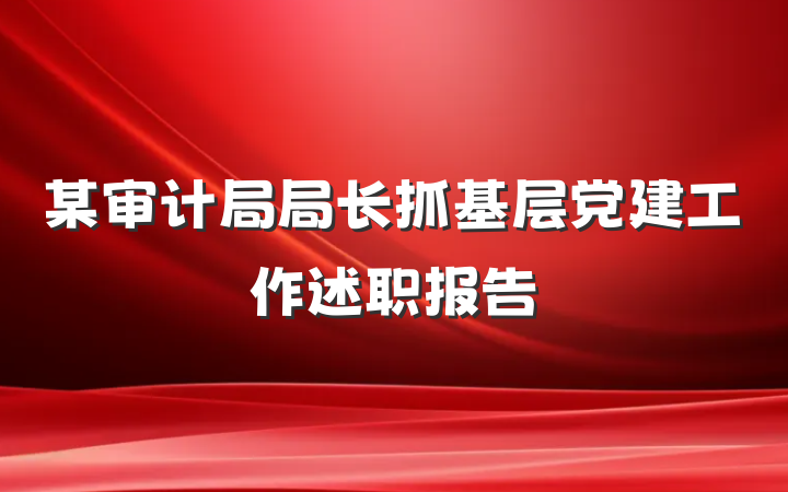 某审计局局长抓基层党建工作述职报告