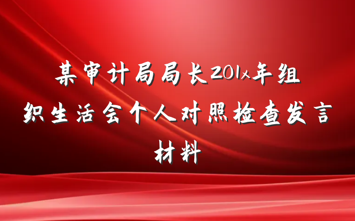 某审计局局长201x年组织生活会个人对照检查发言材料