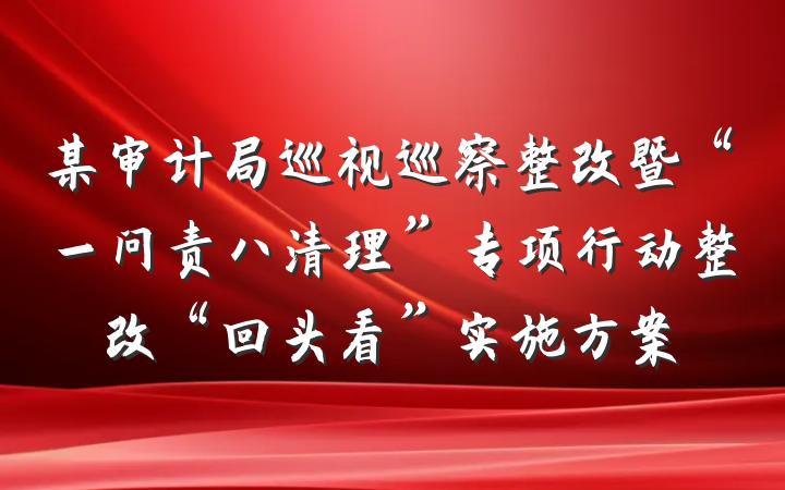 某审计局巡视巡察整改暨“一问责八清理”专项行动整改“回头看”实施方案