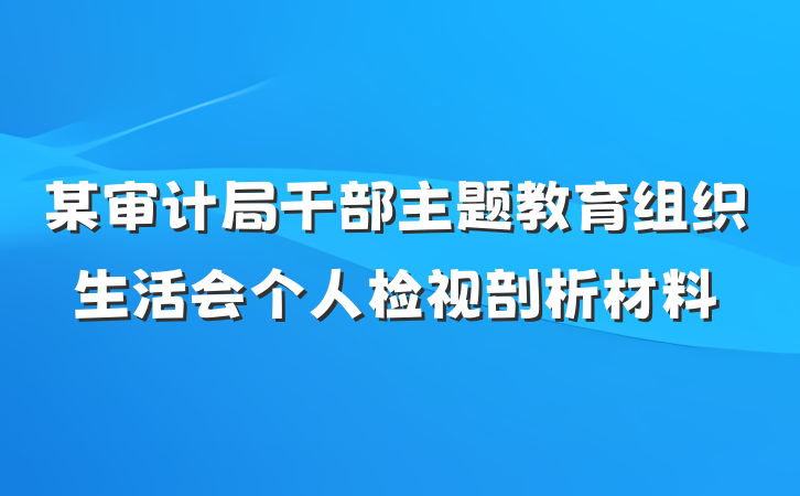某审计局干部主题教育组织生活会个人检视剖析材料