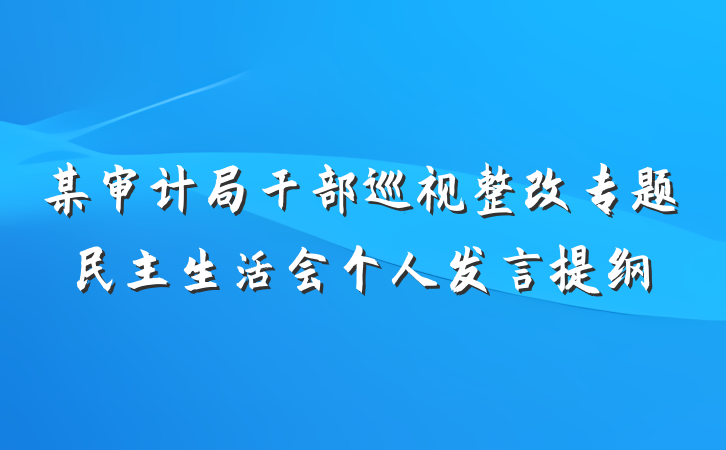 某审计局干部巡视整改专题民主生活会个人发言提纲