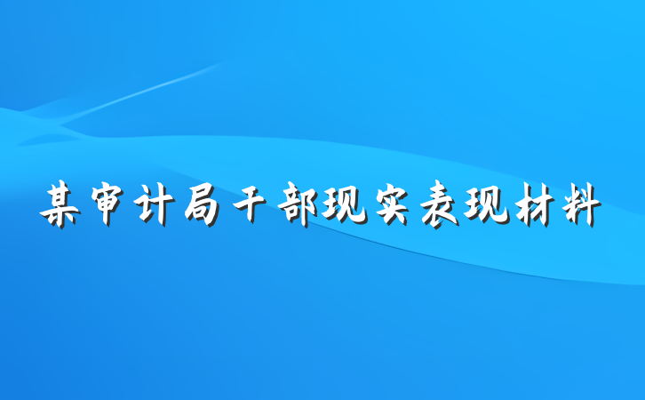 某审计局干部现实表现材料