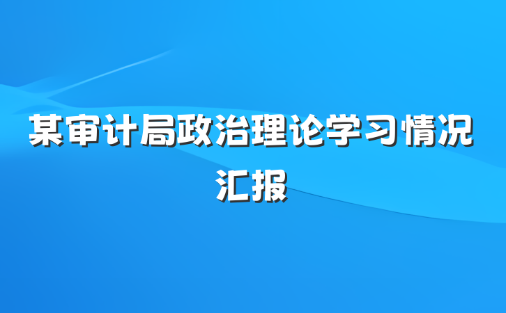 某审计局政治理论学习情况汇报