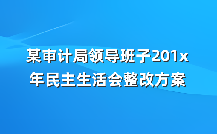 某审计局领导班子201x年民主生活会整改方案