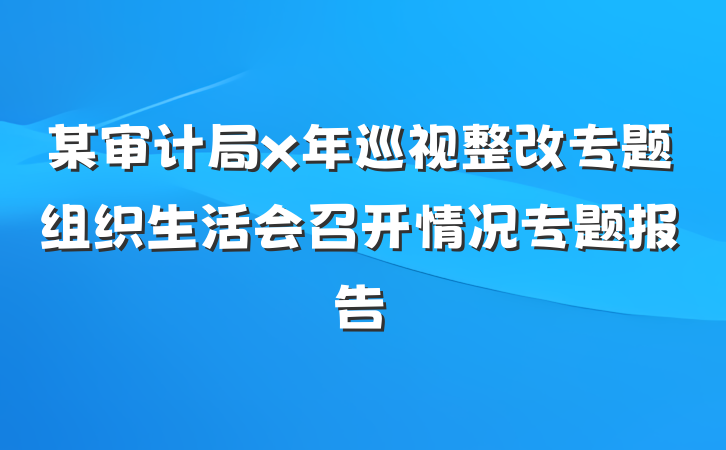 某审计局x年巡视整改专题组织生活会召开情况专题报告