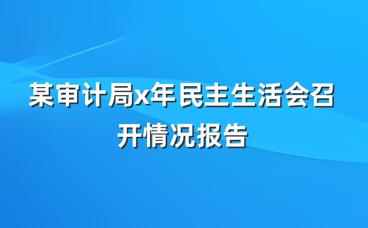 某审计局x年民主生活会召开情况报告