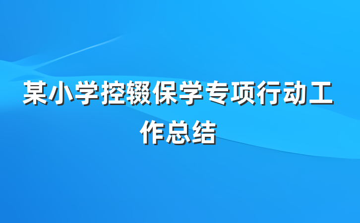 某小学控辍保学专项行动工作总结