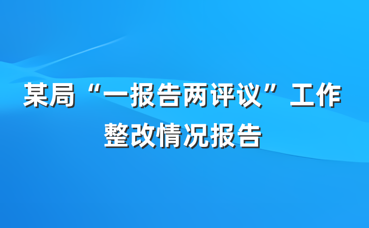 某局“一报告两评议”工作整改情况报告
