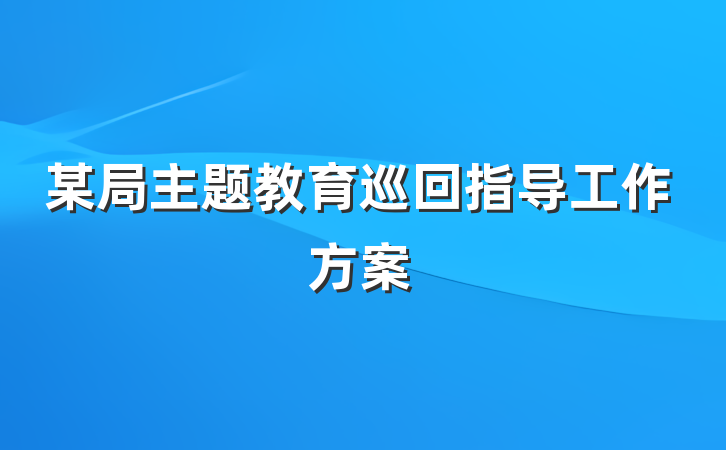 某局主题教育巡回指导工作方案