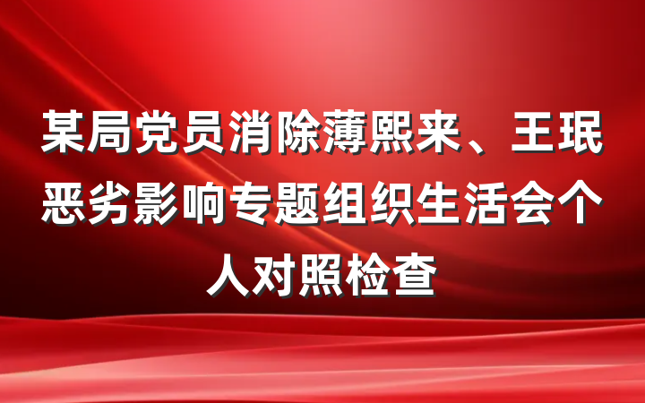 某局党员消除薄熙来、王珉恶劣影响专题组织生活会个人对照检查