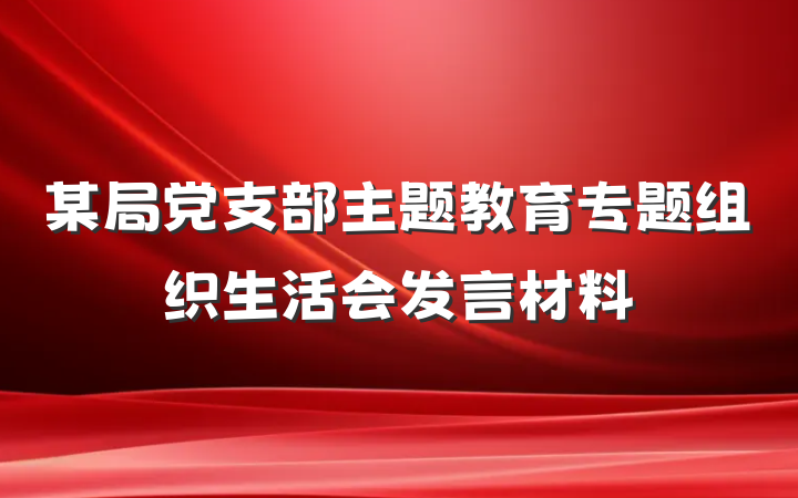 某局党支部主题教育专题组织生活会发言材料