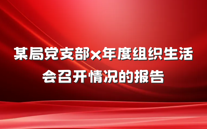 某局党支部x年度组织生活会召开情况的报告