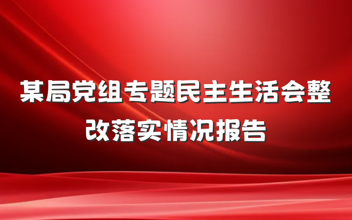 某局党组专题民主生活会整改落实情况报告