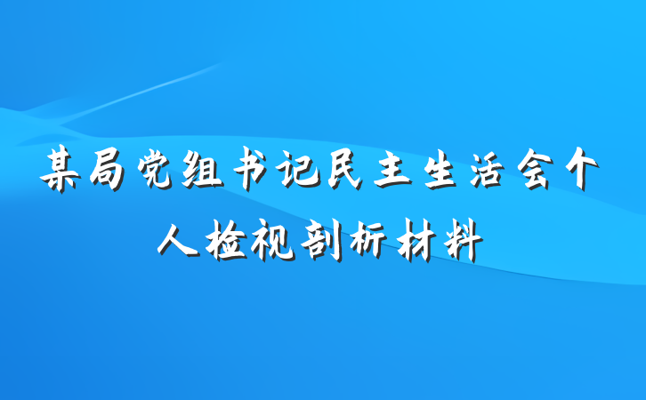 某局党组书记民主生活会个人检视剖析材料