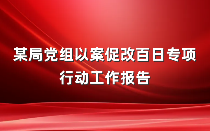 某局党组以案促改百日专项行动工作报告