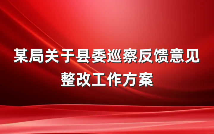 某局关于县委巡察反馈意见整改工作方案