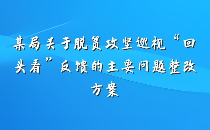 某局关于脱贫攻坚巡视“回头看”反馈的主要问题整改方案