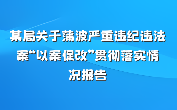 某局关于蒲波严重违纪违法案“以案促改”贯彻落实情况报告